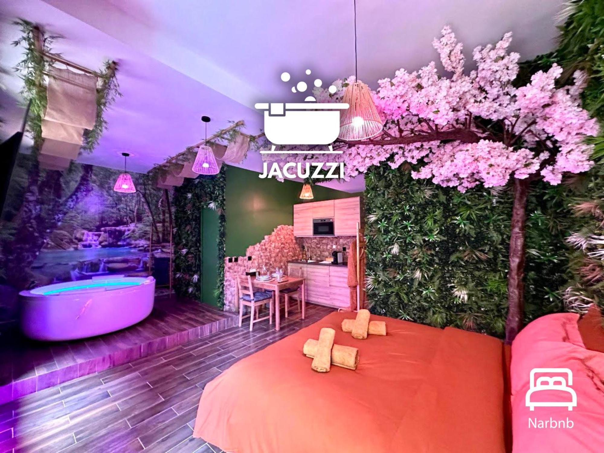 Apartment Narbnb - Jungle - Jacuzzi - Centre - Clim Narbonne